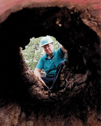 Fred Grimshaw looking through a hollow log